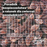 Miniatura zdjęcia 1