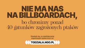 Miniatura zdjęcia 5