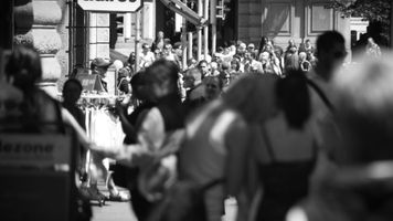 Miniatura zdjęcia 2