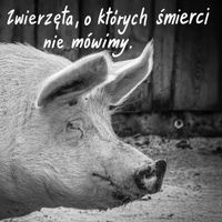 Miniatura zdjęcia 1