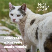 Miniatura zdjęcia 1