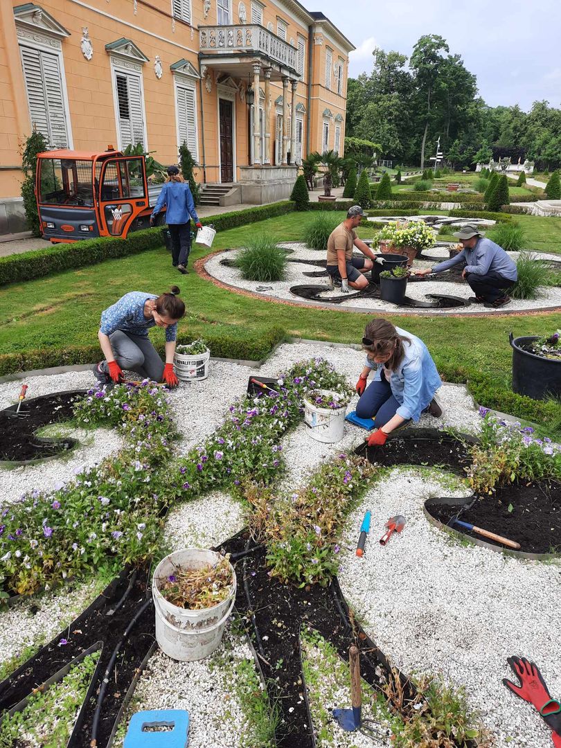 Wolontariusze przy pracy w ogrodach Pałacu Króla Jana III w Wilanowie