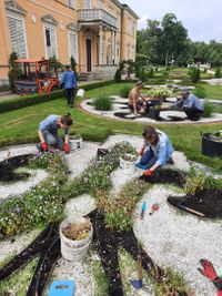Miniatura Wolontariusze przy pracy w ogrodach Pałacu Króla Jana III w Wilanowie