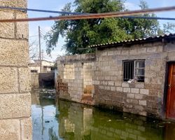 Miniatura zdjęcia 1