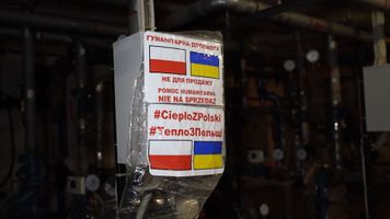 Miniatura zdjęcia 5