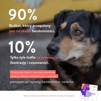 Miniatura zdjęcia 1