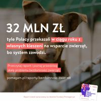 Miniatura zdjęcia 2