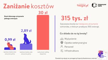 Miniatura zdjęcia 3