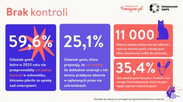 Miniatura zdjęcia 5