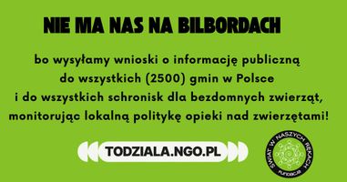 Miniatura zdjęcia 6