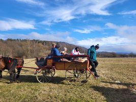 Miniatura zdjęcia 1