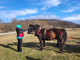 Miniatura zdjęcia 2