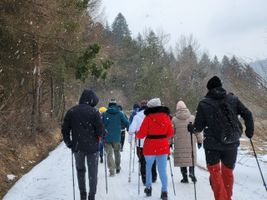 Miniatura zdjęcia 5