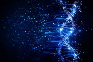 Miniatura zdjęcia 3