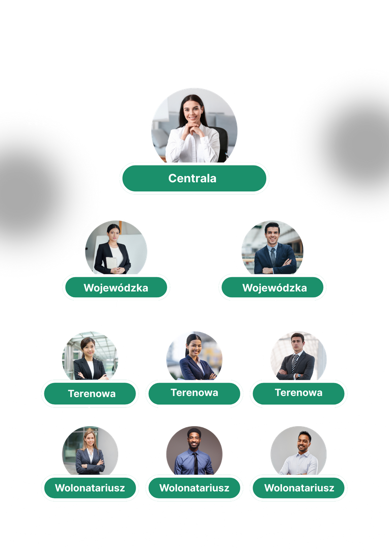 Struktura w aplikacji