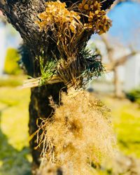 Miniatura zdjęcia 3