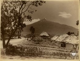 Miniatura zdjęcia 1