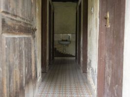 Miniatura zdjęcia 3