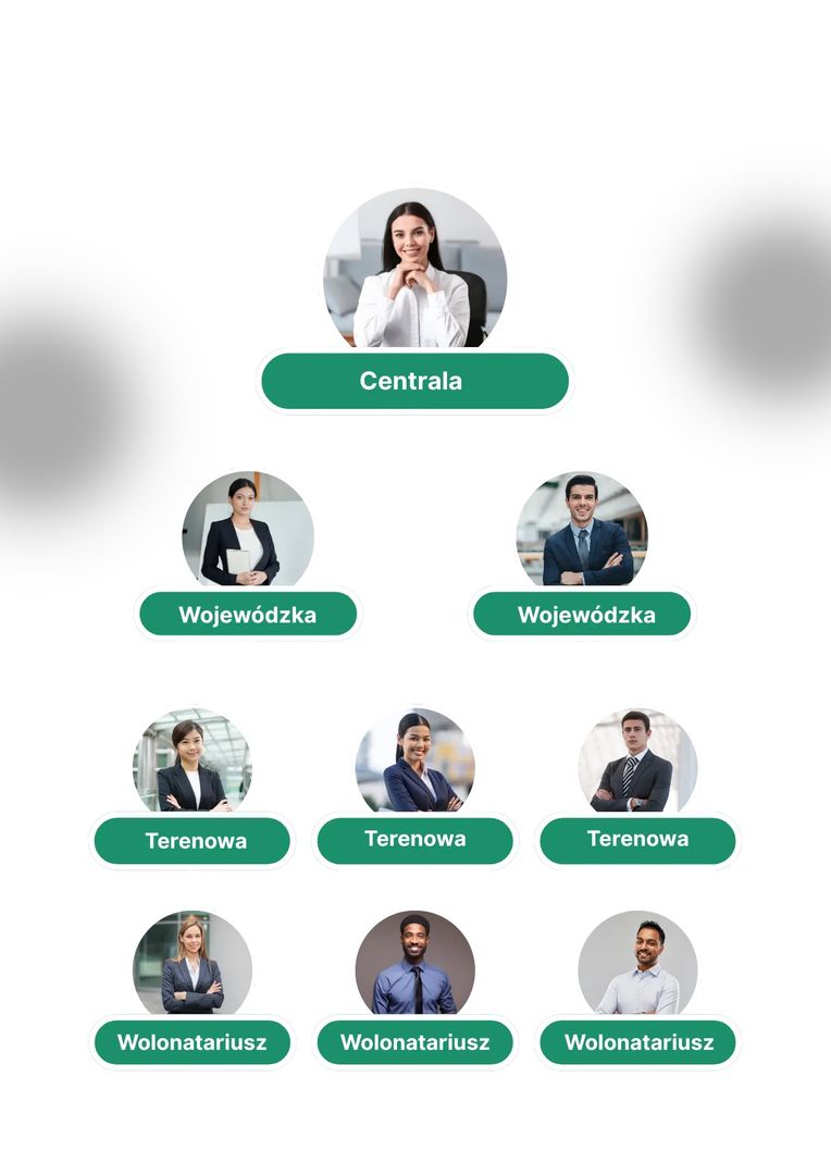 Struktura w planie od 299 zł miesięcznie. 