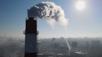 Miniatura zdjęcia 1