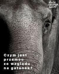 Miniatura zdjęcia 1