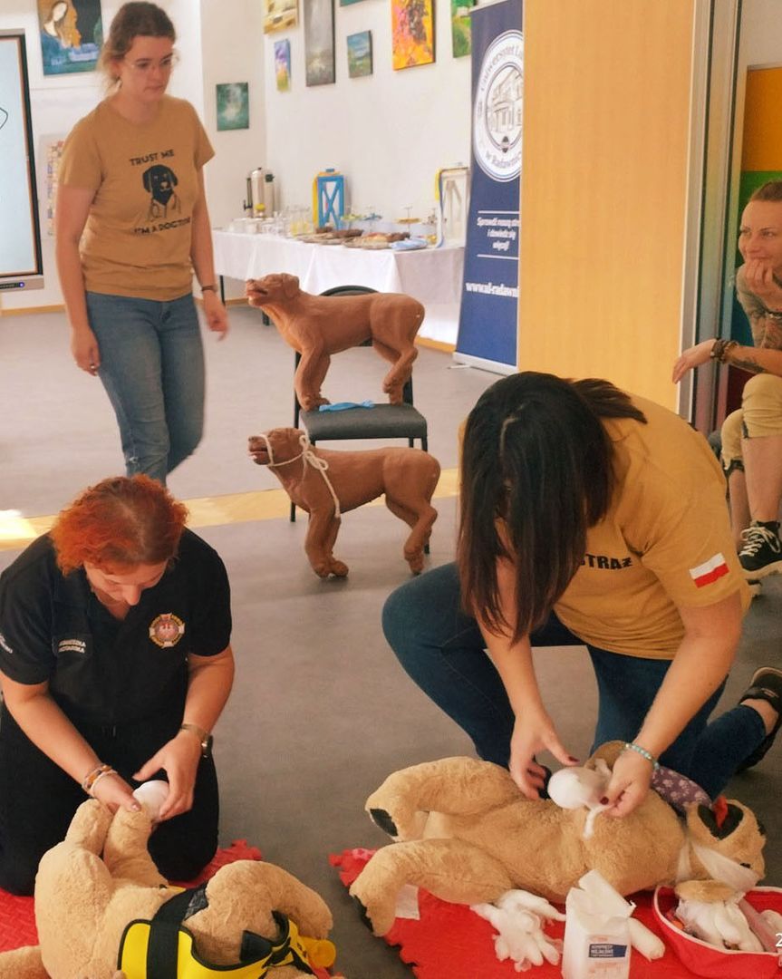 dwie osoby bandażują psa