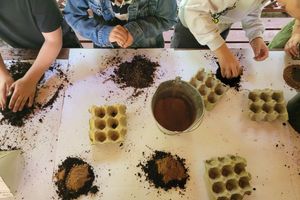 Miniatura zdjęcia 1