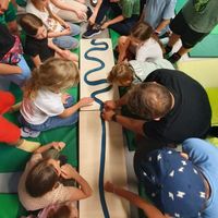 Miniatura zdjęcia 2