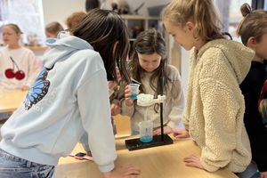 Miniatura zdjęcia 3