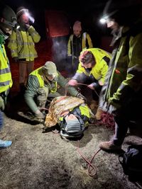 Miniatura zdjęcia 1