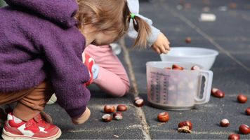 Miniatura zdjęcia 1