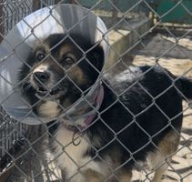 Miniatura zdjęcia 2