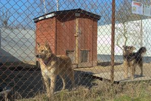 Miniatura zdjęcia 3