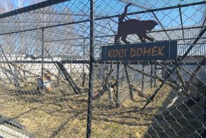 Miniatura zdjęcia 4