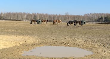 Miniatura zdjęcia 6