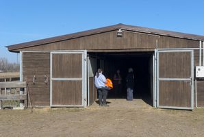 Miniatura zdjęcia 7