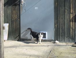 Miniatura zdjęcia 5