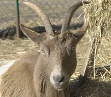 Miniatura zdjęcia 14