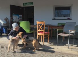 Miniatura zdjęcia 1