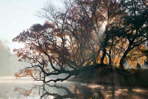 Miniatura zdjęcia 1