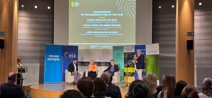 Miniatura zdjęcia 3