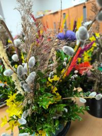 Miniatura zdjęcia 2