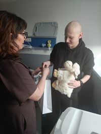 Miniatura zdjęcia 5