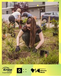 Miniatura zdjęcia 3