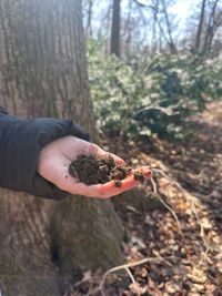 Miniatura zdjęcia 3