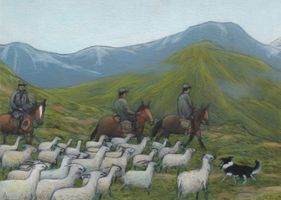 Miniatura zdjęcia 5