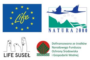 Miniatura zdjęcia 2