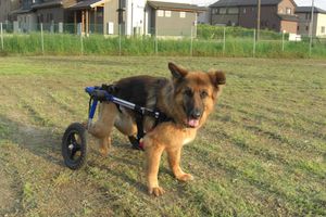 Miniatura zdjęcia 2