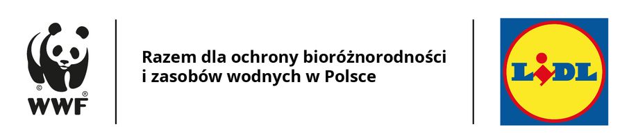 Miniatura zdjęcia 1