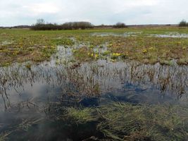 Miniatura zdjęcia 2